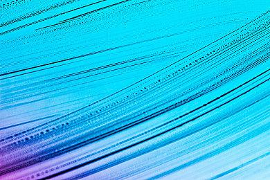 Adobe将推PS和PR AI代理：提供建议即可智能编辑